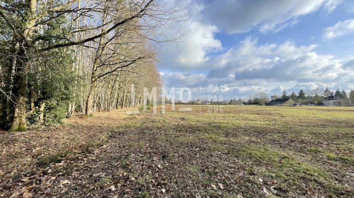 Terrain constructible à vendre, 3600 m² - Le Grand-Lucé 72150