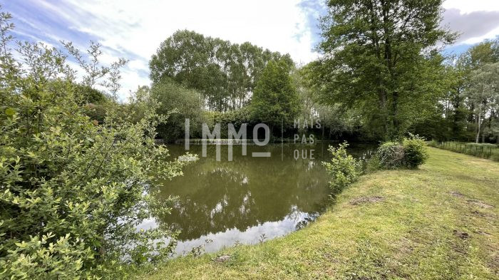 Etang à vendre, 5457 m² - Le Grand-Lucé 72150