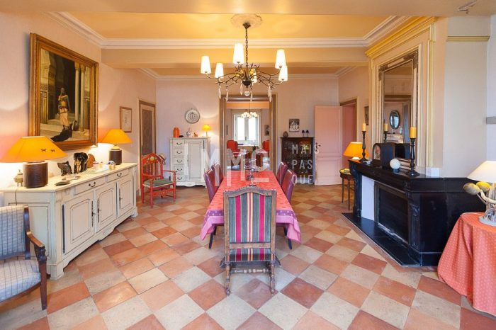 Château à vendre, 20 pièces - Samazan 47250