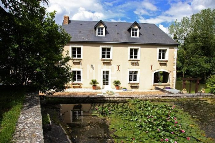 Maison à vendre, 13 pièces - Neuillé-Pont-Pierre 37360
