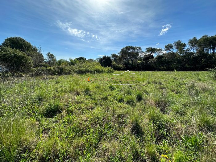 Terrain constructible à vendre, 10 a 15 ca - Les Matelles 34270