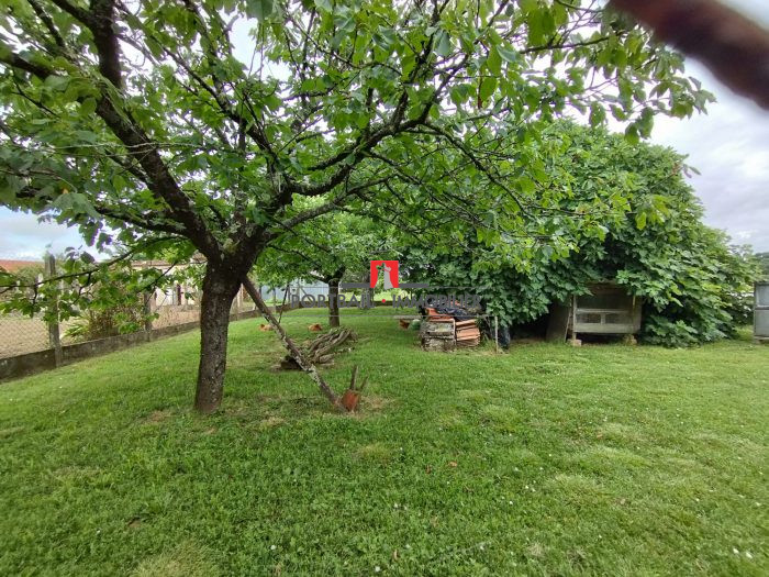 Maison ancienne à vendre, 4 pièces - Tauriac 33710