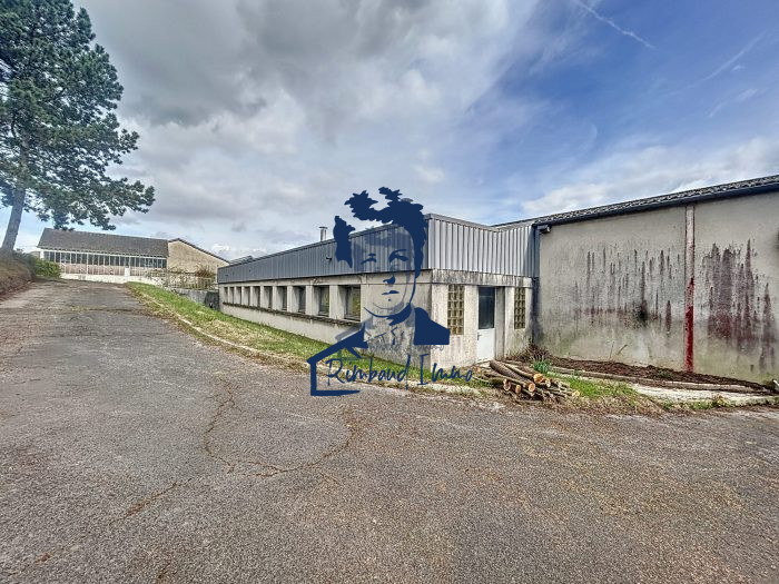 Local professionnel à louer, 650 m² - Charleville-Mézières 08000