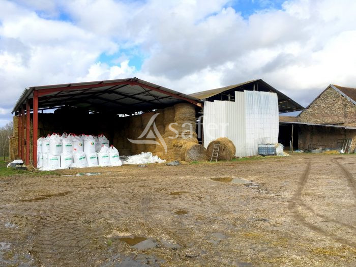 Corps De Ferme Avec Batiment D Elevage En Puisaye