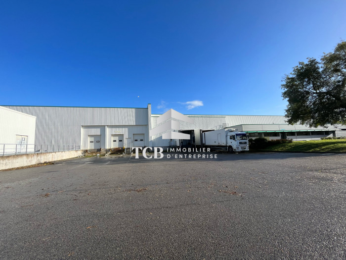 Local industriel à vendre, 11245 m² - Saint-Julien-de-Concelles 44450