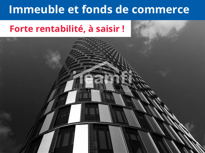 Vente Immeuble VILLEURBANNE 69100 Rhône FRANCE