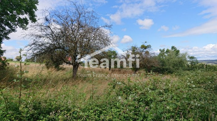 Terrain constructible à vendre, 28 a 70 ca - Saint-Pardoux 63440