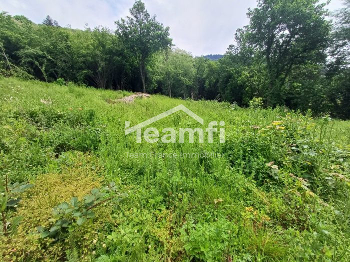 Terrain constructible à vendre, 43 a 90 ca - Thiers 63300