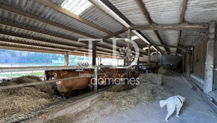 Photo Exploitation de 275 ha en polyculture élevage bovin bio image 7/10