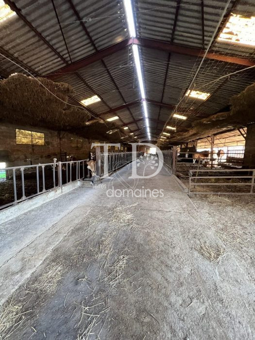 Photo Exploitation de 275 ha en polyculture élevage bovin bio image 8/10