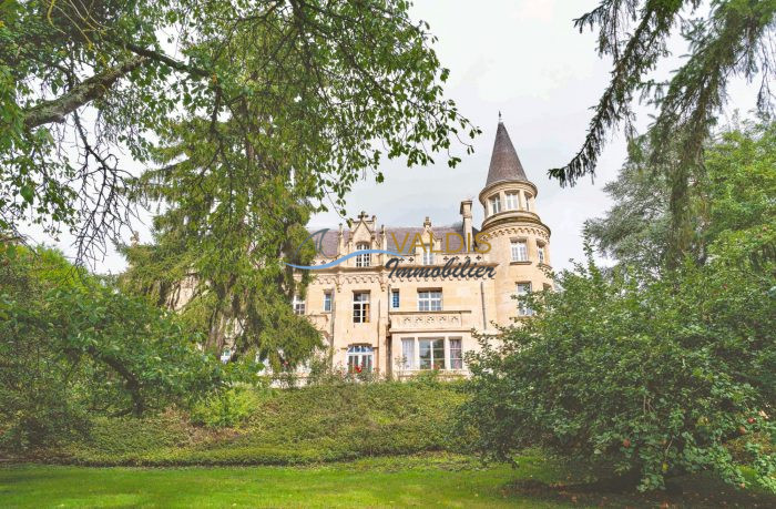 Château à vendre, 15 pièces - Celles-sur-Aisne 02370