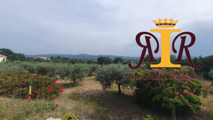 Photo Villa d'architecte avec son oliveraie et vue panoramique image 18/36