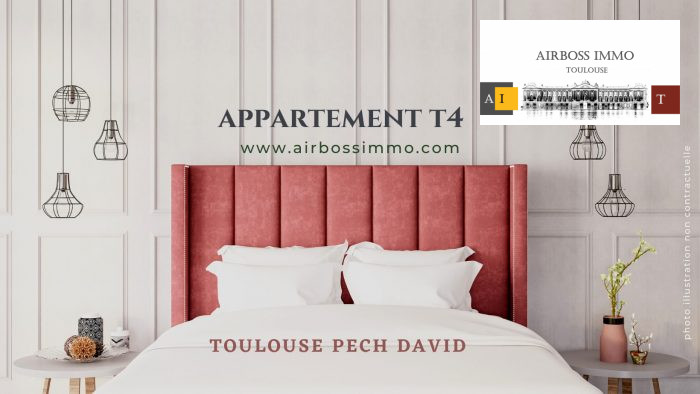 Appartement T4 Duplex Toulouse Coteaux Pech-David