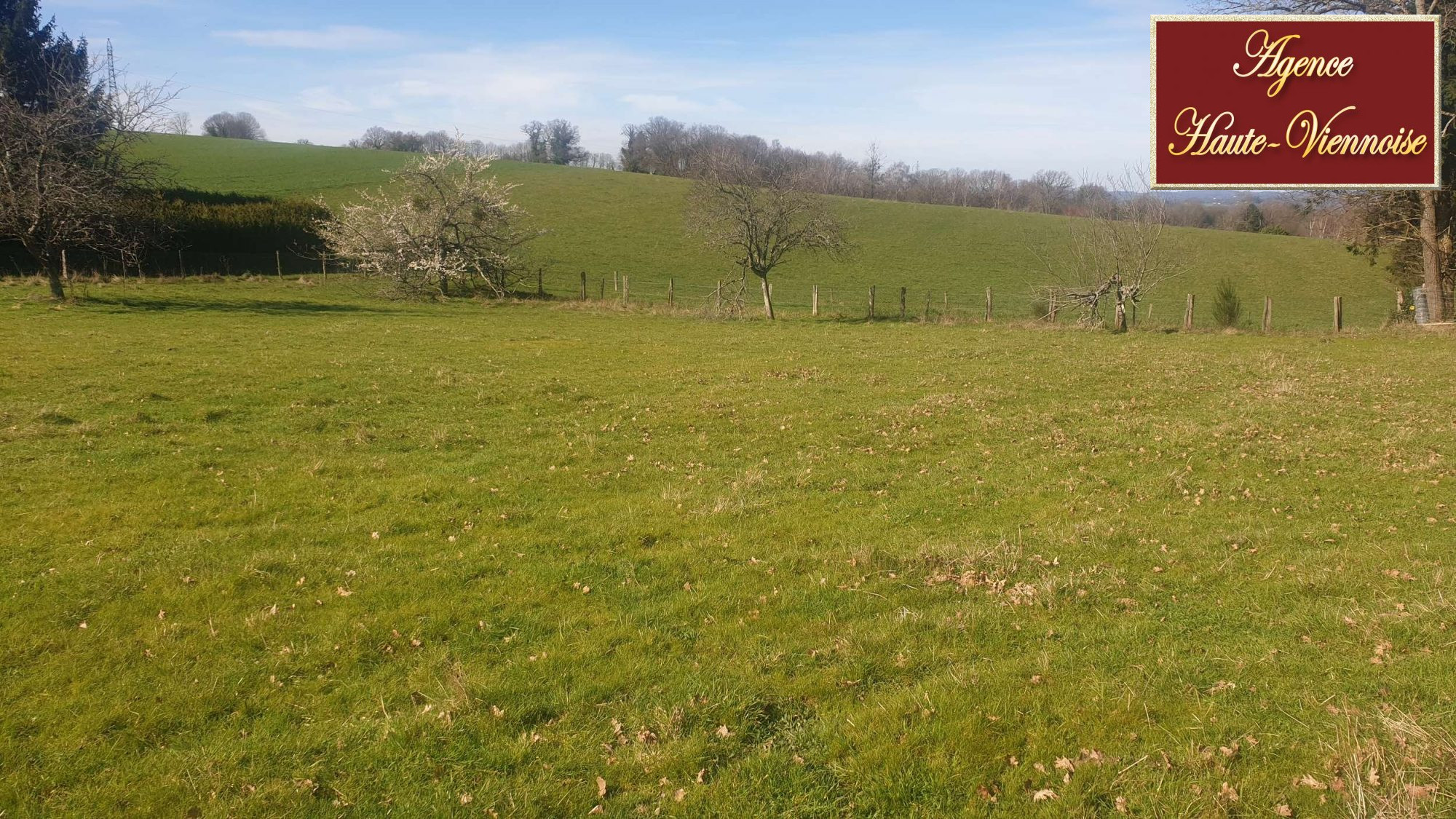 Vente Terrain SAINT-MARTIN-TERRESSUS 87400 Haute Vienne FRANCE