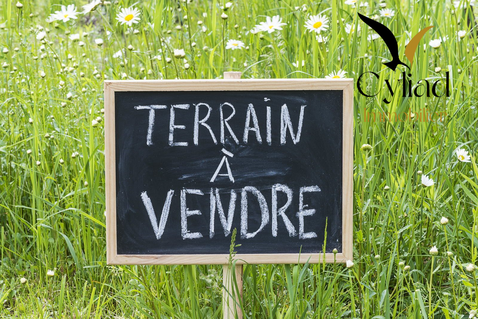 Vente Terrain CANCALE 35260 Ille et Vilaine FRANCE