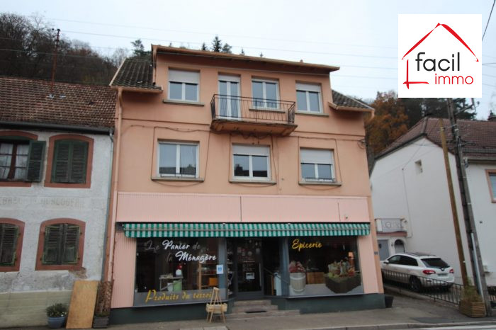 Immeuble à vendre, 215 m² - Lutzelbourg 57820