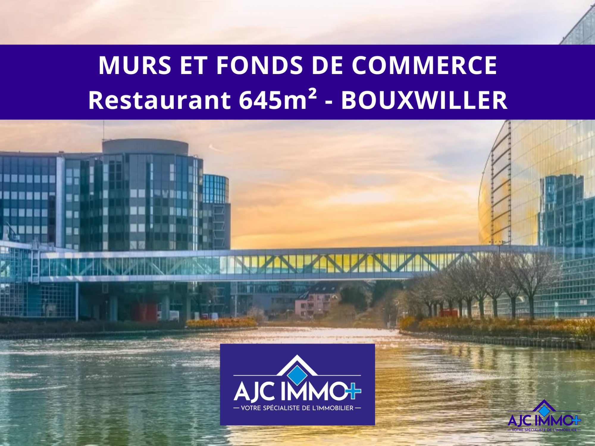 Vente Bureau/Local BOUXWILLER 67330 Bas Rhin FRANCE