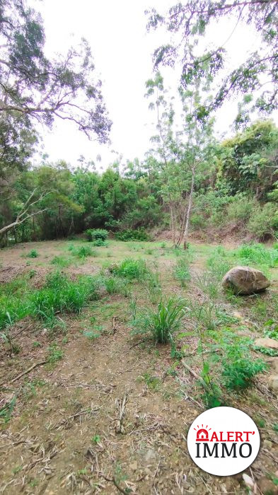 Terrain constructible à vendre, 60 a - Dumbéa 98835