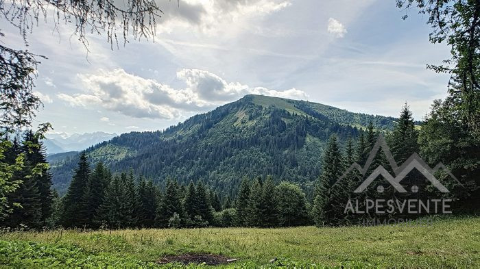 For Sale Alpine Chalet In A Nice Place