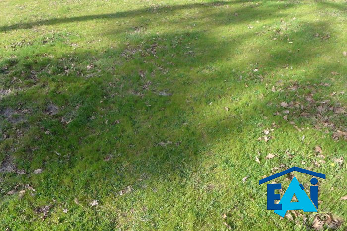 Terrain constructible à vendre, 05 a 19 ca - Andernos-les-Bains 33510