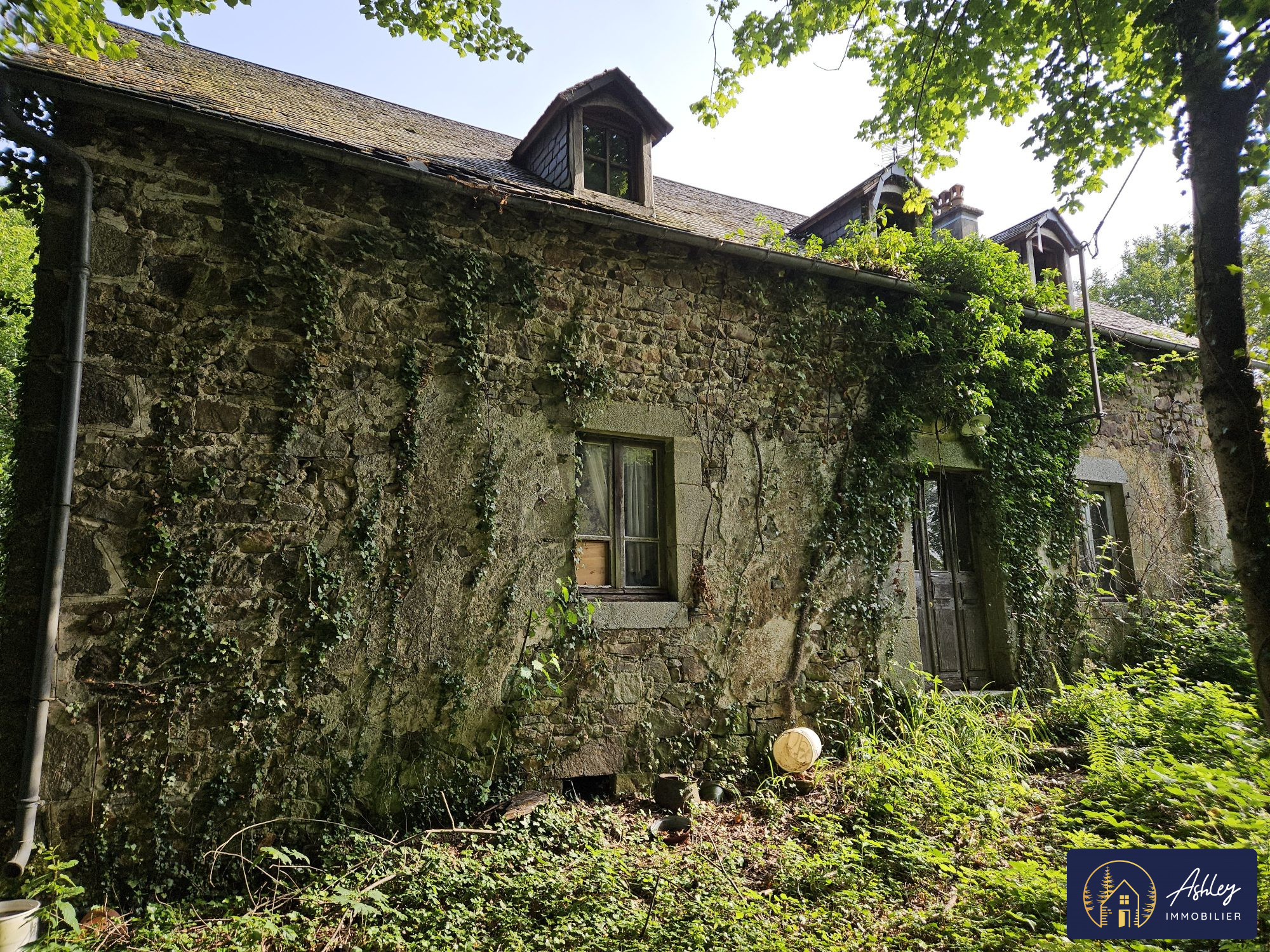 Vente Maison/Villa NEUVIC 19160 Corrze FRANCE