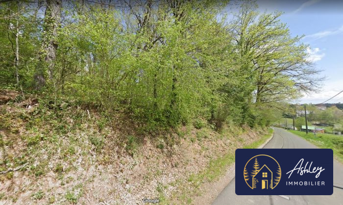 Terrain constructible à vendre, 7950 m² - Neuvic 19160