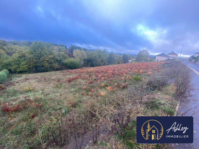 Terrain constructible à vendre, 4856 m² - Lanobre 15270