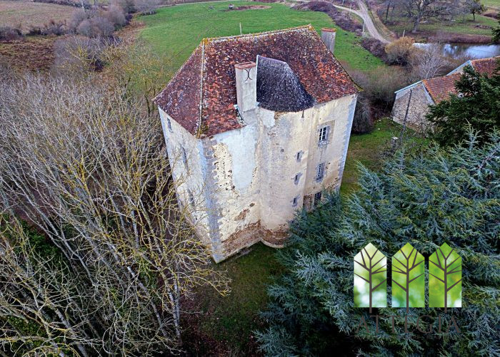 Château à vendre, 6 pièces - Boussac 23600