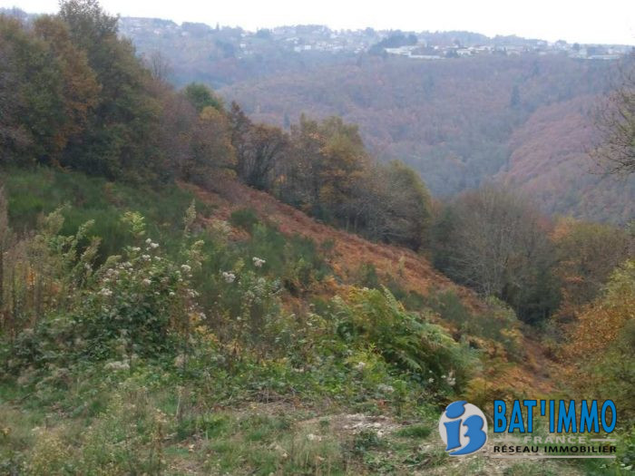 Terrain à vendre, 70 ha - Albi 81000