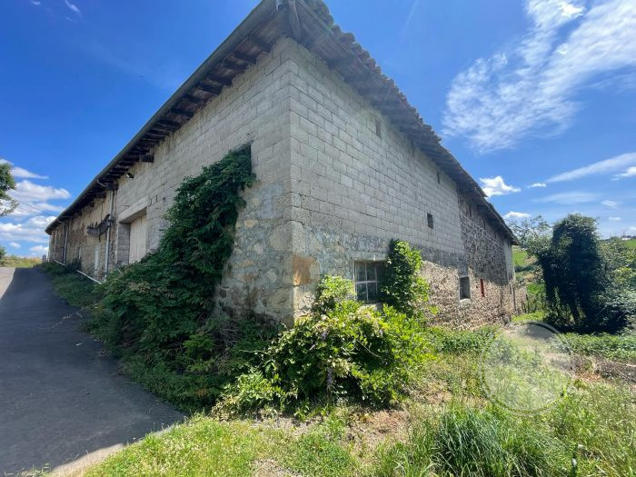 Ferme à vendre, 4 pièces - Saint-Symphorien-sur-Coise 69590