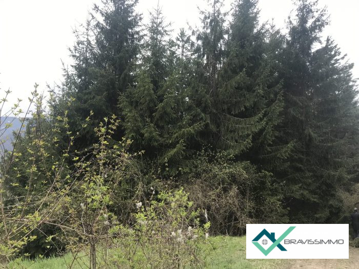 Forêt à vendre, 02 ha 42 a 36 ca - Aiton 73220