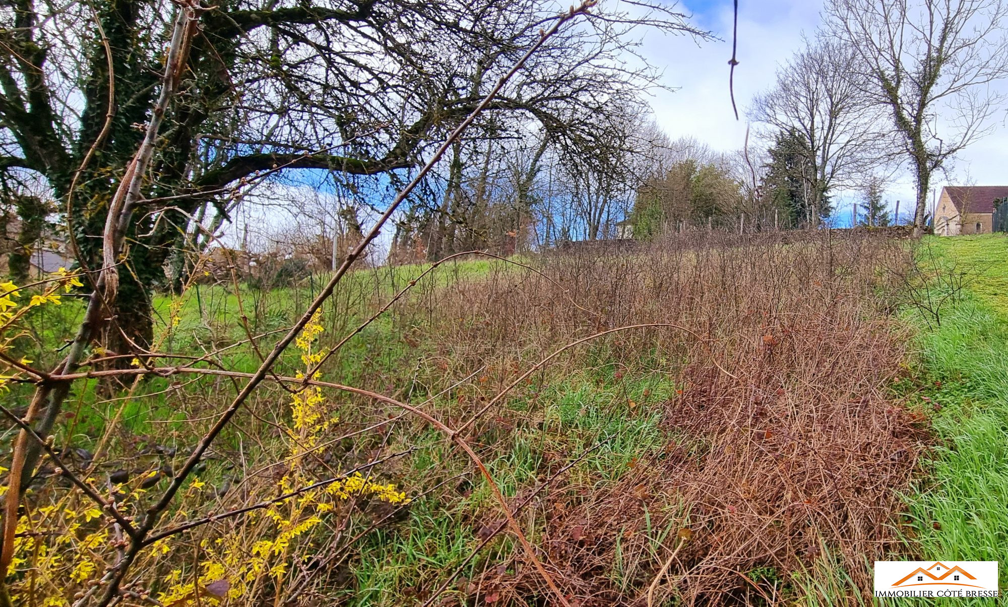 Vente Terrain 363m² à Cousance (39190) - Immobilier Côté Bresse