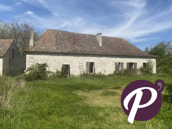Bourgeois house for sale, 12 rooms - Bergerac 24100