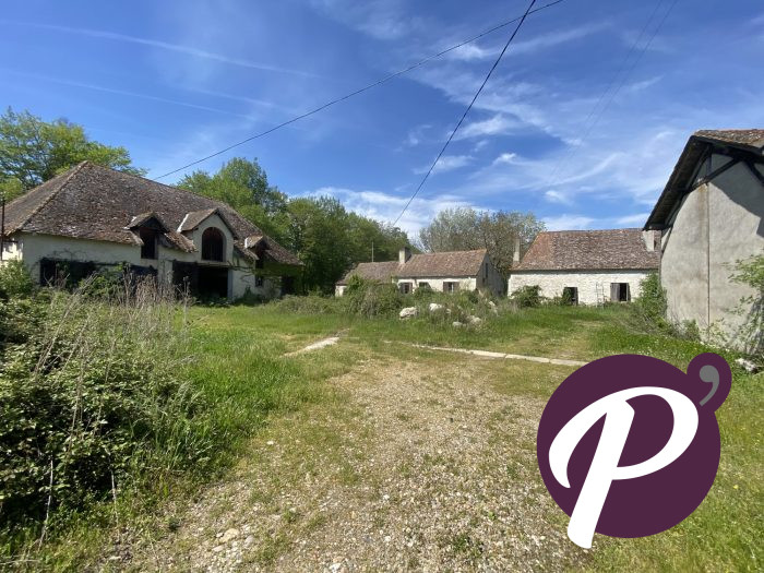 Maison bourgeoise à vendre, 12 pièces - Bergerac 24100