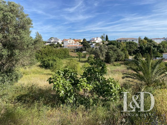 Terreno edificable en venta, 2100 m² - LAGOA 08400