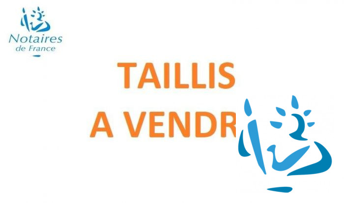 TAILLIS à vendre à Saint Ouen de Sécherouvre