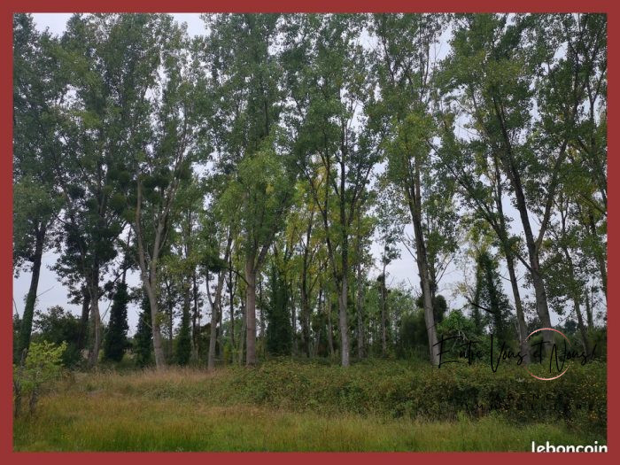 Terrain constructible à vendre, 96 a 52 ca - Grignols 33690