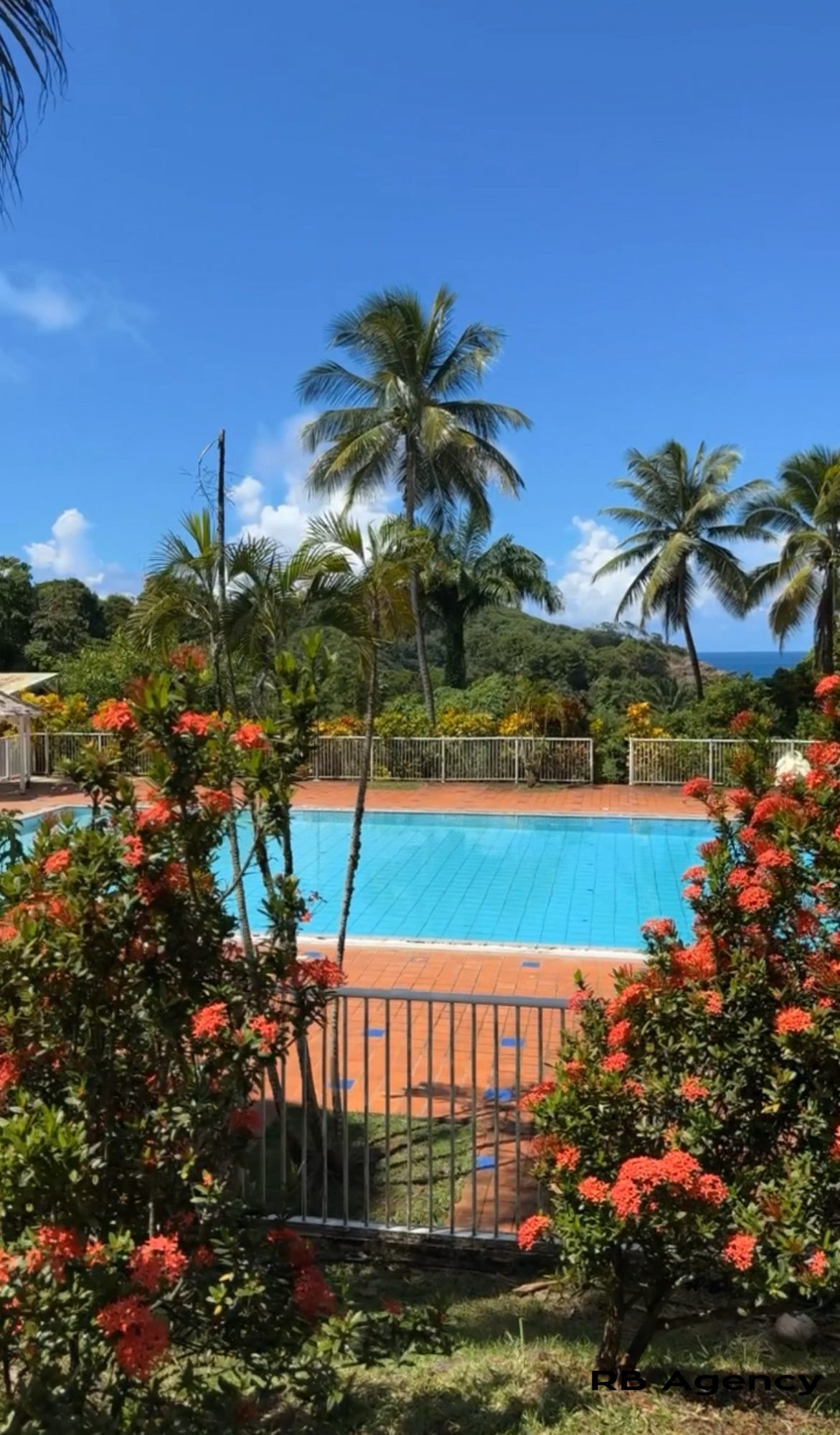 Location annuelle Appartement SAINTE-MARIE 97230 Martinique FRANCE