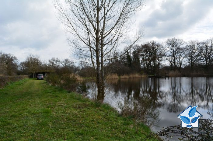 Maison traditionnelle à vendre en viager, 6 pièces - Quinssaines 03380