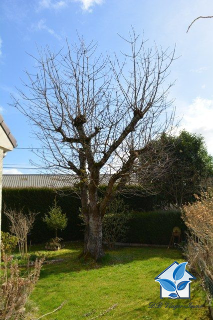 Maison traditionnelle à vendre en viager - Saint-Menoux 03210