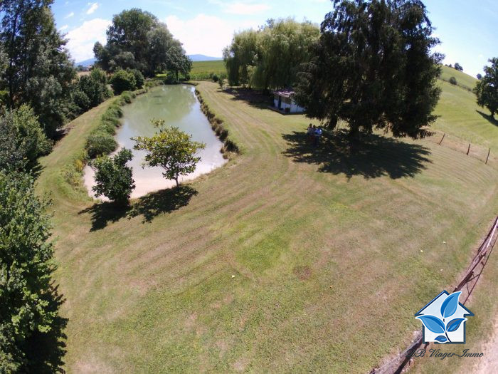 Etang à vendre en viager, 02 ha 02 a 30 ca - Luzillat 63350