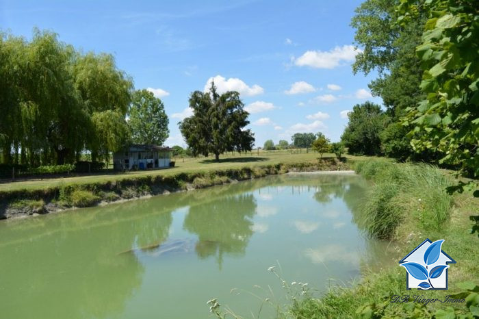 Etang à vendre en viager, 02 ha 02 a 30 ca - Luzillat 63350