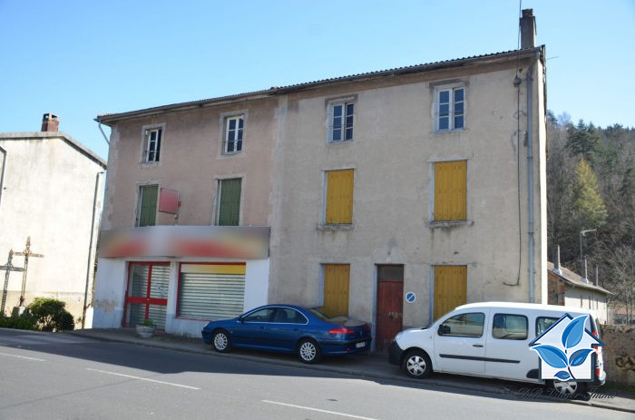 Maison ancienne à vendre, 12 pièces - La Monnerie-le-Montel 63650