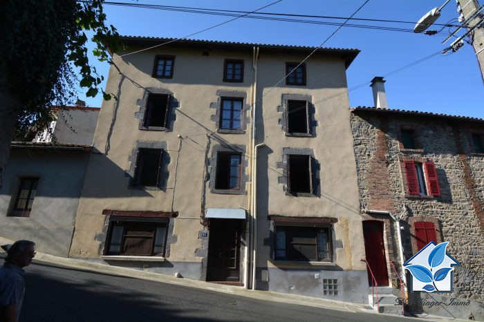 Maison ancienne à vendre, 17 pièces - Thiers 63300