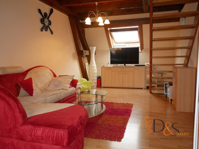 Duplex à vendre, 4 pièces - Cernay 68700