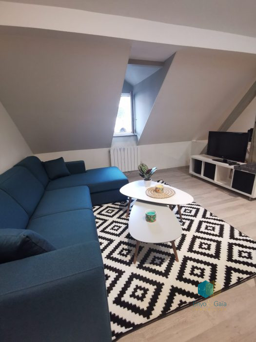 Appartement à louer, 2 pièces - Bischheim 67800