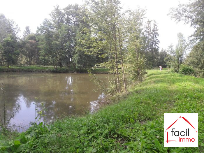 Terrain constructible à vendre, 01 ha 23 a 89 ca - Nitting 57790