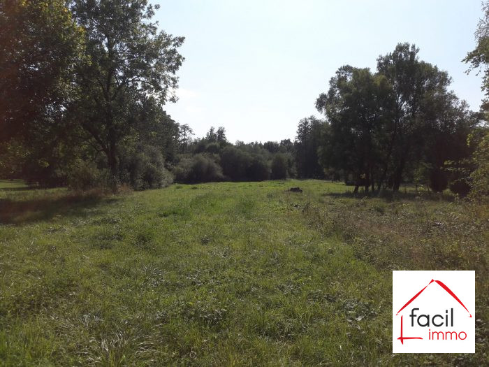 Terrain constructible à vendre, 01 ha 23 a 89 ca - Nitting 57790