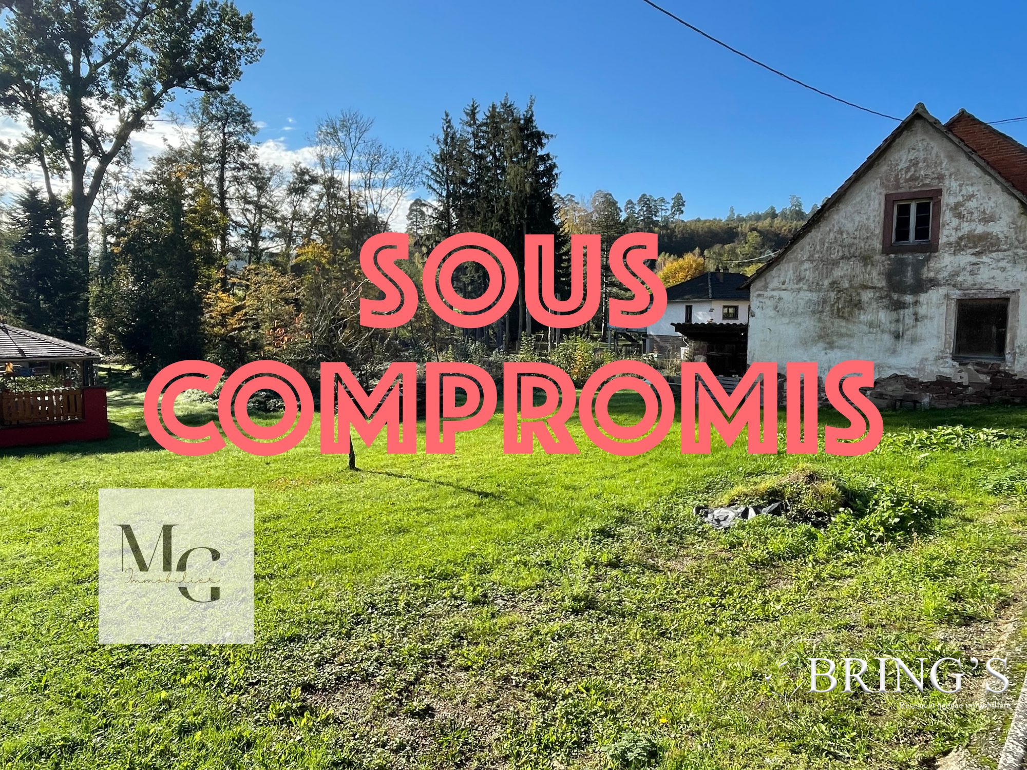 Vente Maison/Villa SOMMERAU 67310 Bas Rhin FRANCE