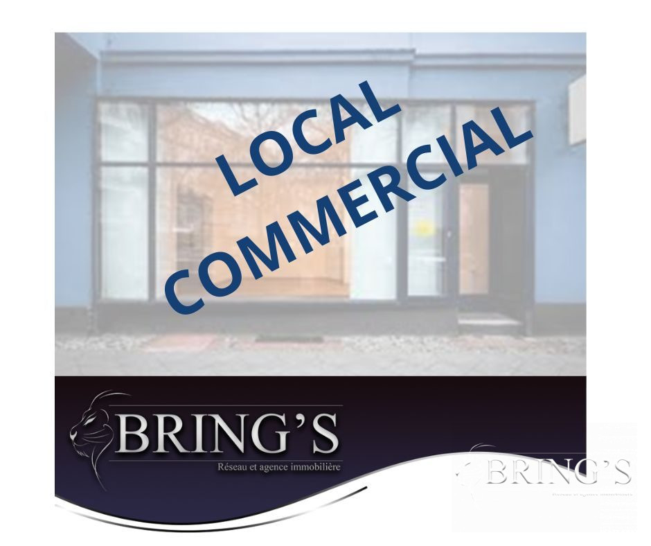 Vente Local Commercial 856m² à Meslay-du-Maine (53170) - Bring'S